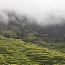 黄山旅游 缩略图 2