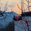 黄山旅游 缩略图 4