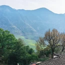 黄山旅游 缩略图 5