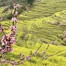 黄山旅游 缩略图 2