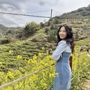 黄山旅游 缩略图 1
