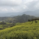 黄山旅游 缩略图 1