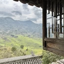 黄山旅游 缩略图 9