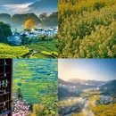黄山旅游 缩略图 2
