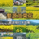 黄山旅游 缩略图 1