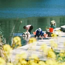 黄山旅游 缩略图 5