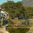 黄山旅游 缩略图 14