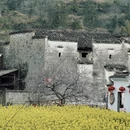 黄山旅游 缩略图 16