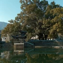 黄山旅游 缩略图 15