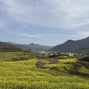 黄山旅游 缩略图 6