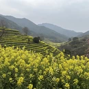 黄山旅游 缩略图 6