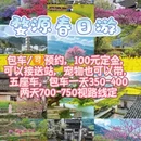 黄山旅游 缩略图 1