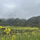 黄山旅游 缩略图 1