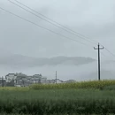 黄山旅游 缩略图 2