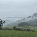 黄山旅游 缩略图 3