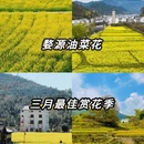 黄山旅游 缩略图 1