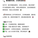 黄山旅游 缩略图 2