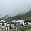 黄山旅游 缩略图 9