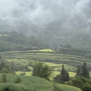 黄山旅游 缩略图 10