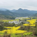 黄山旅游 缩略图 5