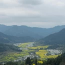 黄山旅游 缩略图 4
