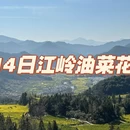 黄山旅游 缩略图 1