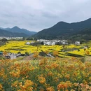 黄山旅游 缩略图 1