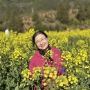 黄山旅游 缩略图 5