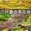 黄山旅游 缩略图 1
