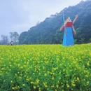 黄山旅游 缩略图 2