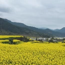 黄山旅游 缩略图 2