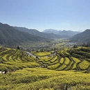 黄山旅游 缩略图 3