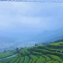 黄山旅游 缩略图 1