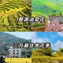 黄山旅游 缩略图 1
