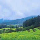 黄山旅游 缩略图 3