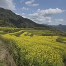 上饶旅游 缩略图 4