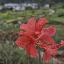 上饶旅游 缩略图 5