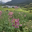 上饶旅游 缩略图 6
