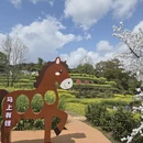 上饶旅游 缩略图 8