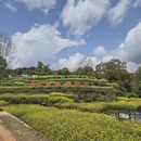 上饶旅游 缩略图 3