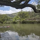 上饶旅游 缩略图 10