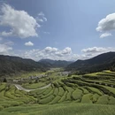 上饶旅游 缩略图 9