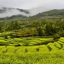 黄山旅游 缩略图 4