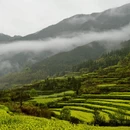 黄山旅游 缩略图 5