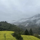 黄山旅游 缩略图 8