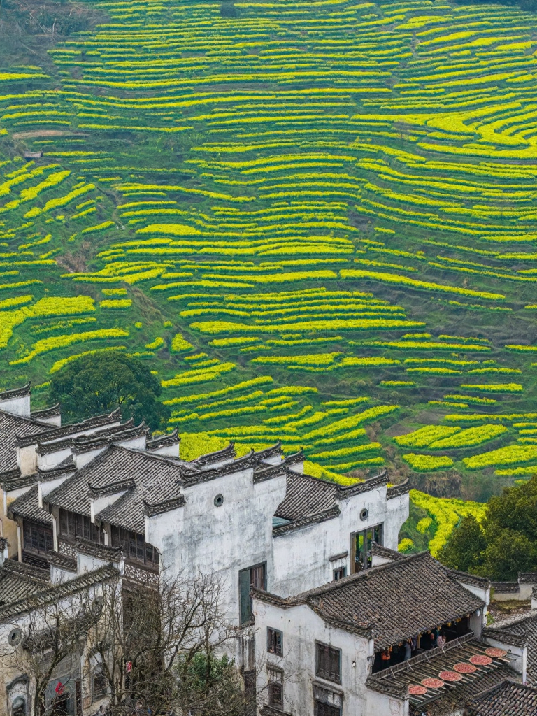 黄山旅游