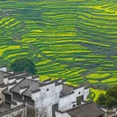 黄山旅游 缩略图 1