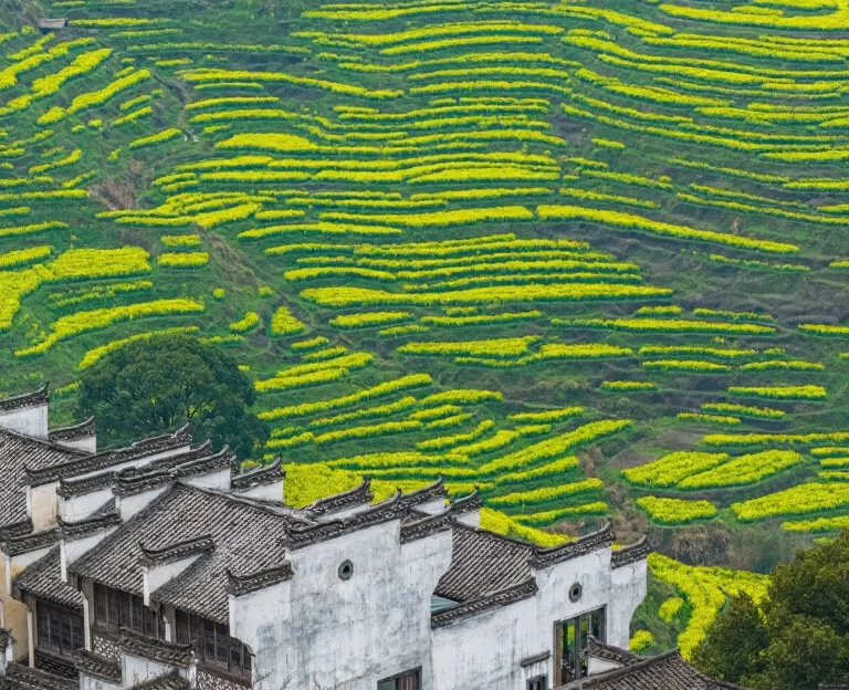 黄山旅游 1