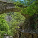 黄山旅游 缩略图 6