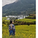 黄山旅游 缩略图 5